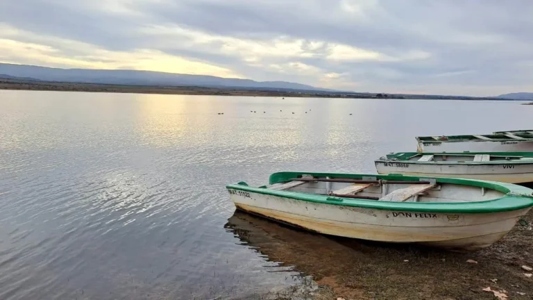 Saneamiento Los Molinos – Proyecto Cyano